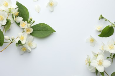 Photo of Beautiful jasmine flowers and green leaves on white background, flat lay. Space for text