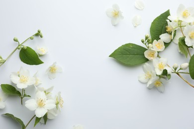 Photo of Beautiful jasmine flowers and green leaves on white background, flat lay. Space for text