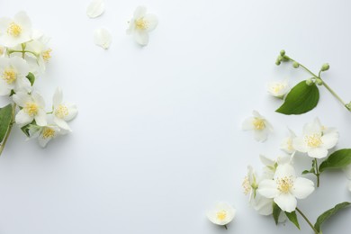 Photo of Beautiful jasmine flowers and green leaves on white background, flat lay. Space for text