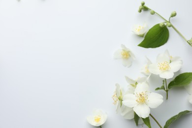 Photo of Beautiful jasmine flowers and green leaves on white background, flat lay. Space for text