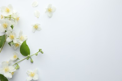 Photo of Beautiful jasmine flowers and green leaves on white background, flat lay. Space for text