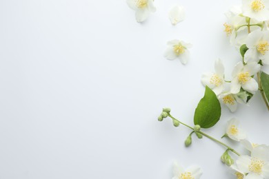 Photo of Beautiful jasmine flowers and green leaf on white background, flat lay. Space for text