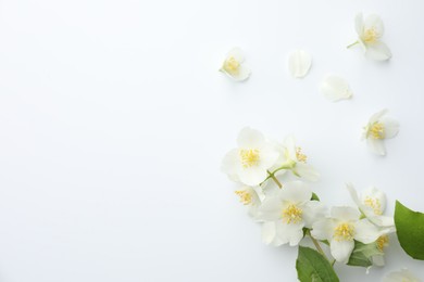Photo of Beautiful jasmine flowers and green leaves on white background, flat lay. Space for text