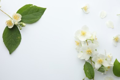 Photo of Beautiful jasmine flowers and green leaves on white background, flat lay. Space for text