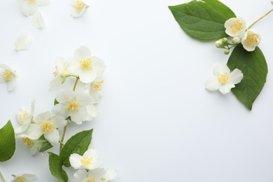 Photo of Beautiful jasmine flowers and green leaves on white background, flat lay. Space for text
