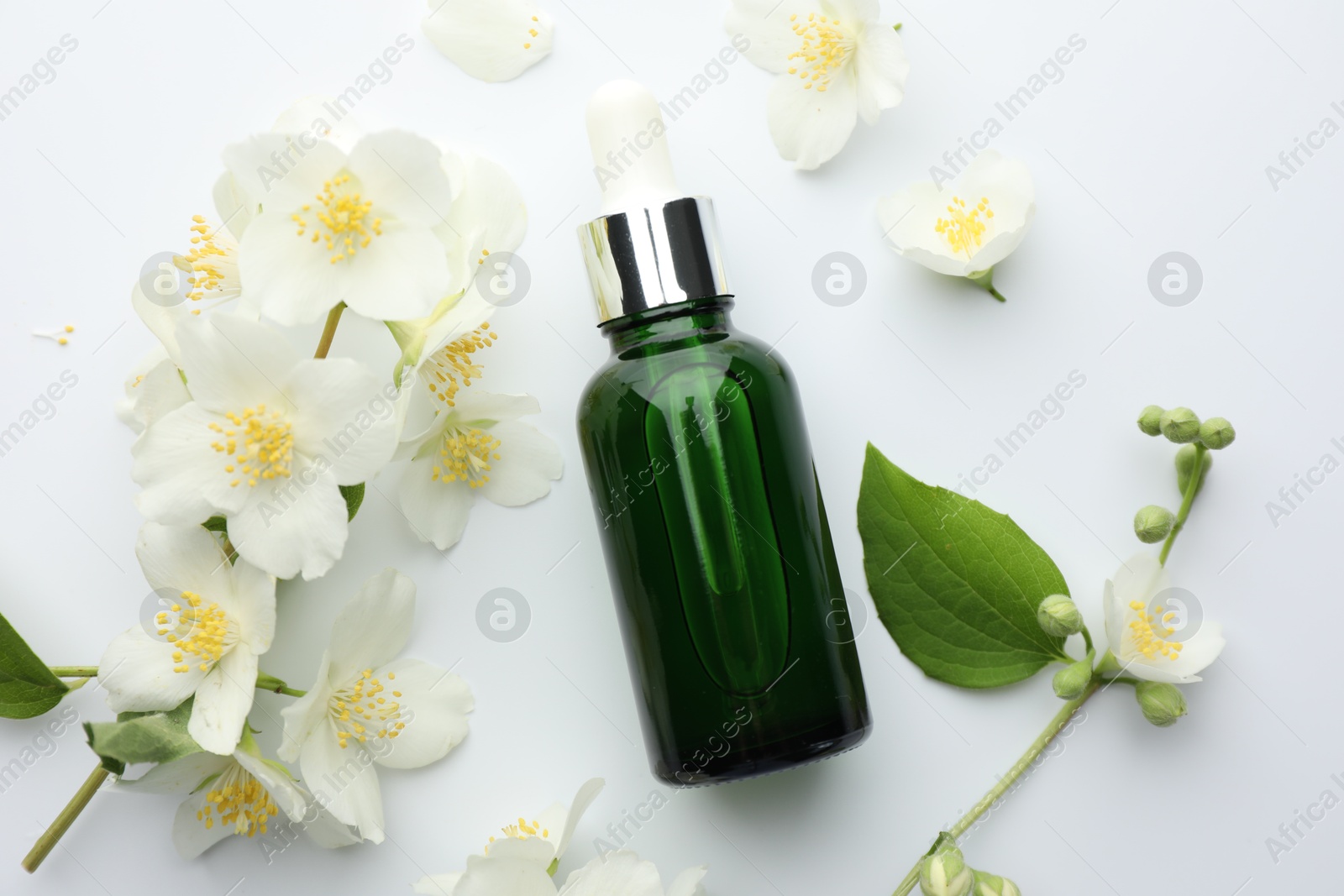 Essential oil, jasmine flowers and green leaf on white background, flat lay Photo of Essential oil, jasmine flowers and green leaf on white background, flat lay