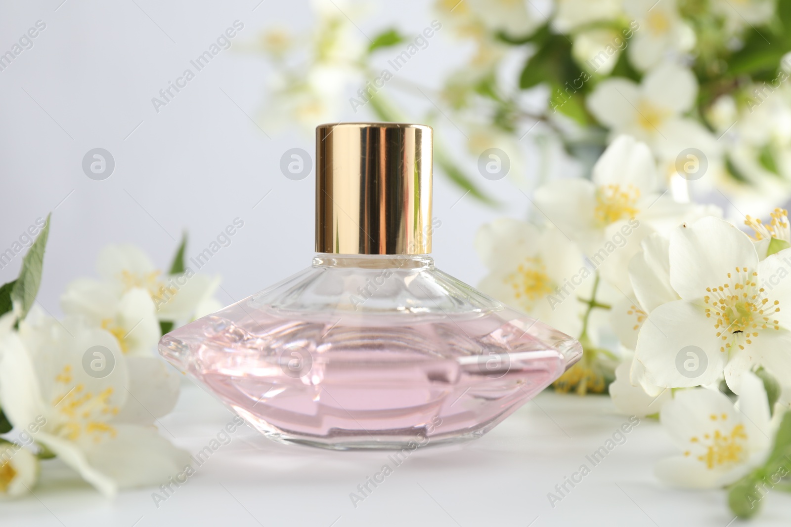 Bottle of perfume and jasmine flowers on white table, closeup Photo of Bottle of perfume and jasmine flowers on white table, closeup