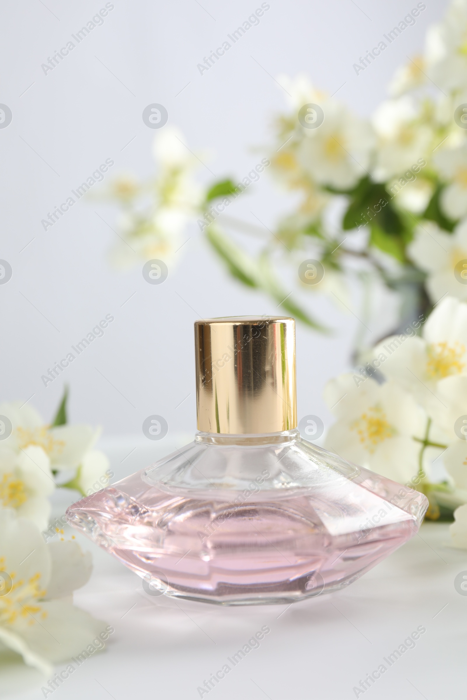 Bottle of perfume and jasmine flowers on white table, closeup Photo of Bottle of perfume and jasmine flowers on white table, closeup