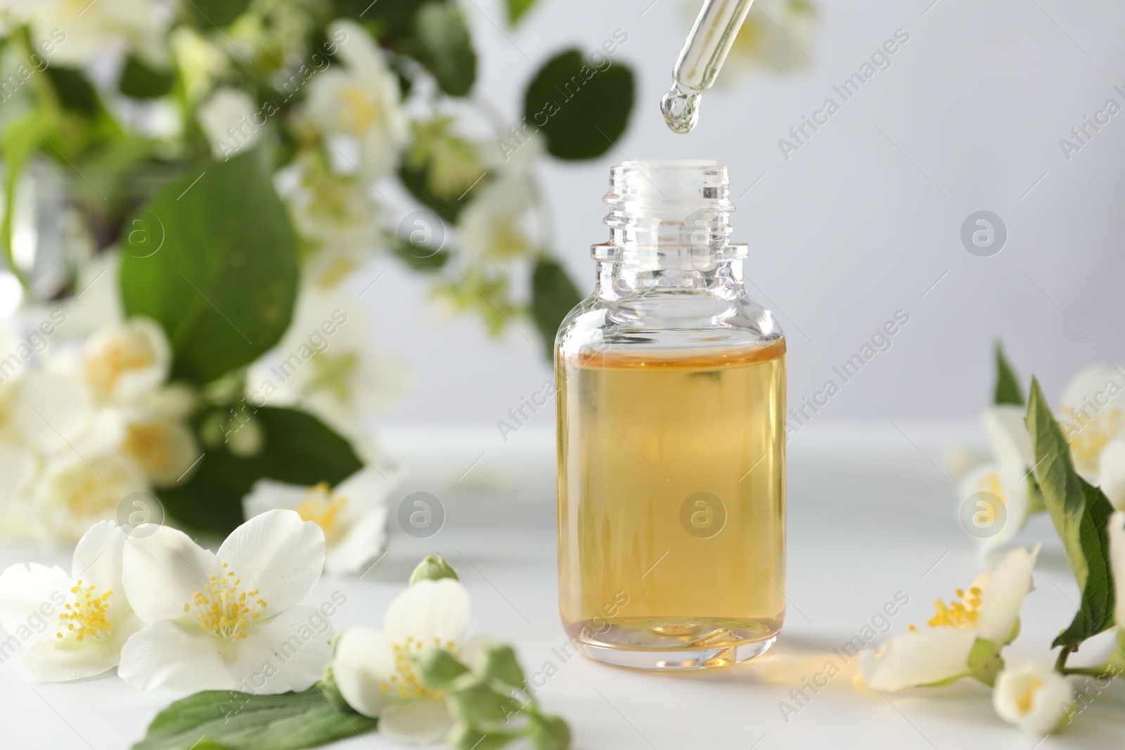 Dripping essential oil into bottle and beautiful jasmine flowers at white table, closeup Photo of Dripping essential oil into bottle and beautiful jasmine flowers at white table, closeup