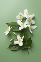 Photo of Beautiful jasmine flowers and leaves on green background, flat lay