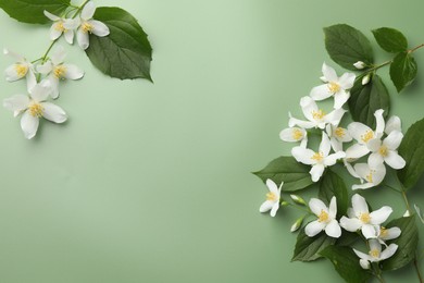 Photo of Beautiful jasmine flowers and leaves on green background, flat lay. Space for text