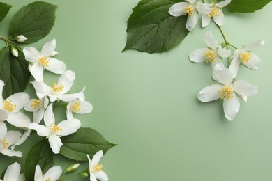 Photo of Beautiful jasmine flowers and leaves on green background, flat lay. Space for text