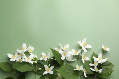 Photo of Beautiful jasmine flowers and leaves on green background, flat lay. Space for text