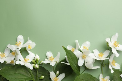 Photo of Beautiful jasmine flowers and leaves on green background, flat lay. Space for text