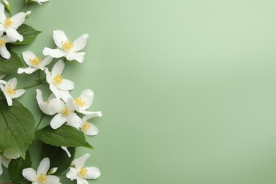 Photo of Beautiful jasmine flowers and leaves on green background, flat lay. Space for text