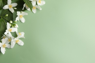 Photo of Beautiful jasmine flowers and leaves on green background, flat lay. Space for text