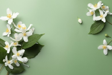 Photo of Beautiful jasmine flowers and leaves on green background, flat lay. Space for text