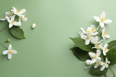 Photo of Beautiful jasmine flowers and leaves on green background, flat lay. Space for text