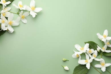 Photo of Beautiful jasmine flowers and leaves on green background, flat lay. Space for text