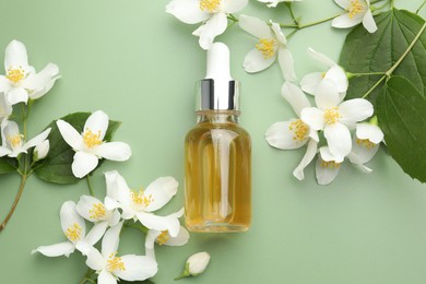 Photo of Essential oil and beautiful jasmine flowers on green background, flat lay