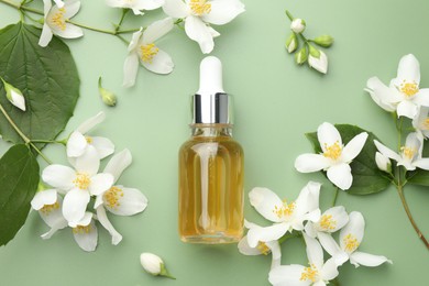 Photo of Essential oil and beautiful jasmine flowers on green background, flat lay
