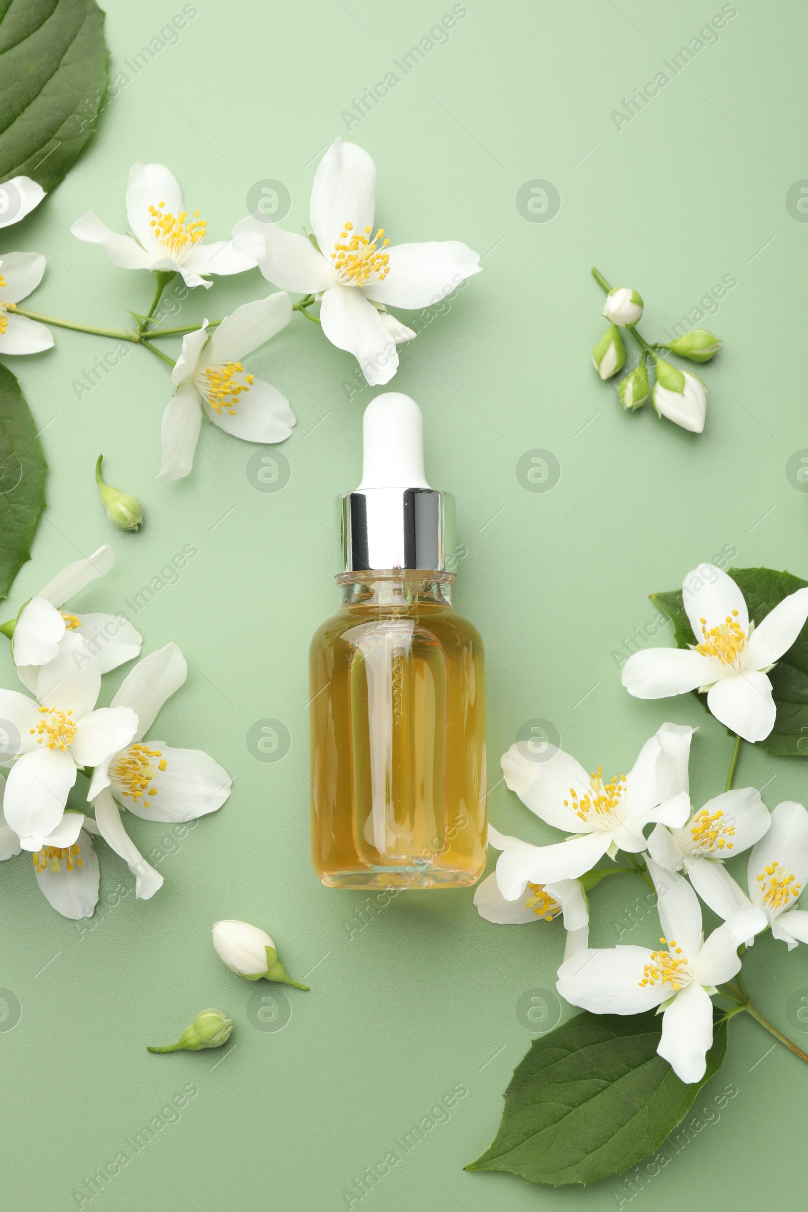 Essential oil and beautiful jasmine flowers on green background, flat lay Photo of Essential oil and beautiful jasmine flowers on green background, flat lay