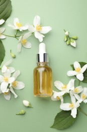 Photo of Essential oil and beautiful jasmine flowers on green background, flat lay