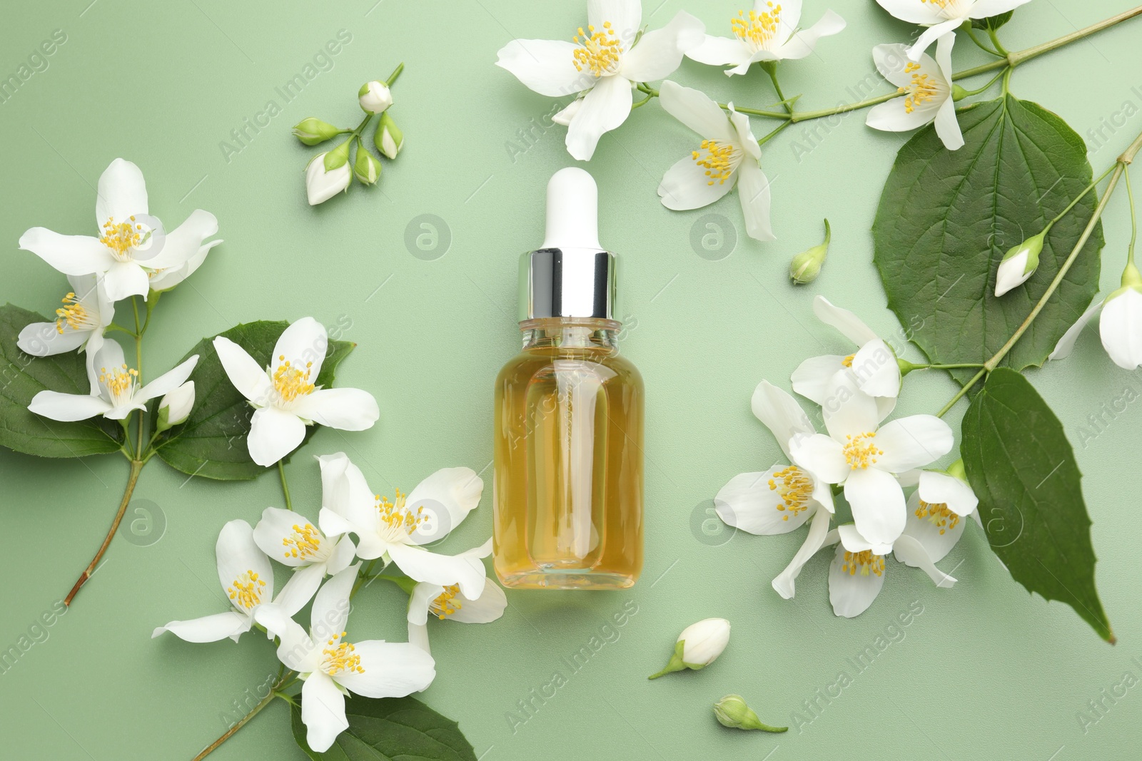 Essential oil and beautiful jasmine flowers on green background, flat lay Photo of Essential oil and beautiful jasmine flowers on green background, flat lay