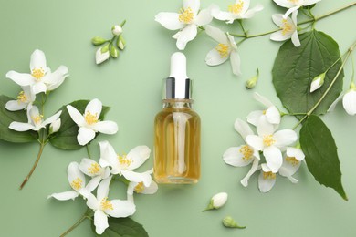 Photo of Essential oil and beautiful jasmine flowers on green background, flat lay