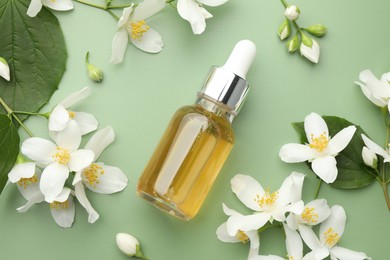 Photo of Essential oil and beautiful jasmine flowers on green background, flat lay