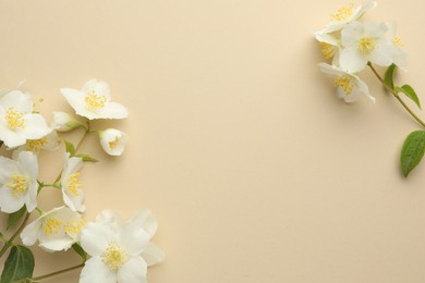 Photo of Beautiful jasmine flowers on beige background, flat lay. Space for text