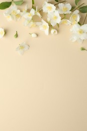 Photo of Beautiful jasmine flowers on beige background, flat lay. Space for text