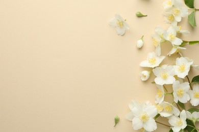 Photo of Beautiful jasmine flowers on beige background, flat lay. Space for text