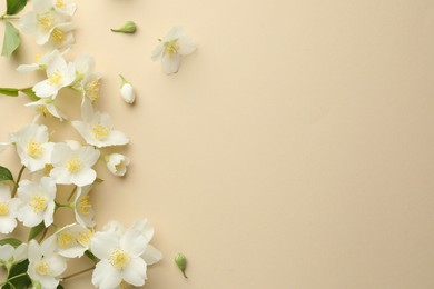 Photo of Beautiful jasmine flowers on beige background, flat lay. Space for text