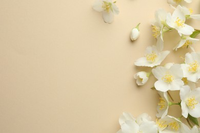 Photo of Beautiful jasmine flowers on beige background, flat lay. Space for text