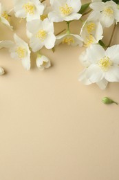 Photo of Beautiful jasmine flowers on beige background, flat lay. Space for text