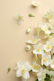 Photo of Beautiful jasmine flowers on beige background, flat lay. Space for text