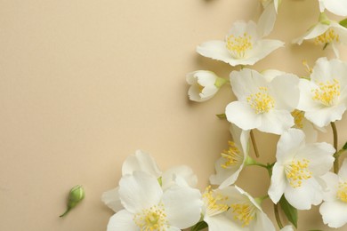 Photo of Beautiful jasmine flowers on beige background, flat lay. Space for text