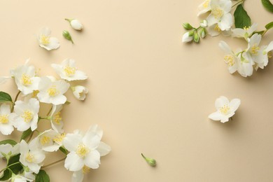 Photo of Beautiful jasmine flowers on beige background, flat lay. Space for text
