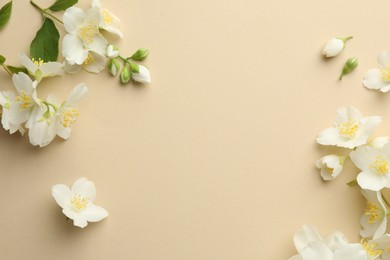 Photo of Beautiful jasmine flowers on beige background, flat lay. Space for text