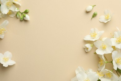 Photo of Beautiful jasmine flowers on beige background, flat lay. Space for text