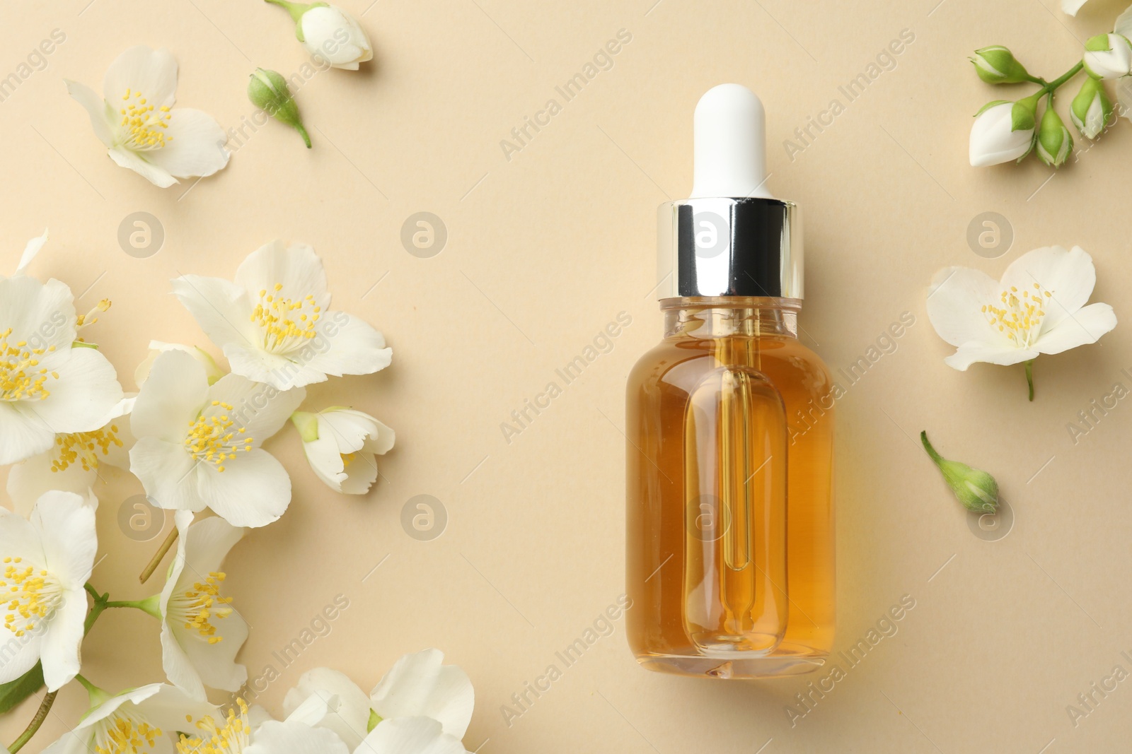 Essential oil and beautiful jasmine flowers on beige background, flat lay Photo of Essential oil and beautiful jasmine flowers on beige background, flat lay