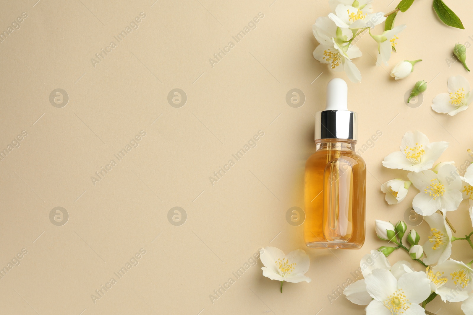 Essential oil and beautiful jasmine flowers on beige background, flat lay. Space for text Photo of Essential oil and beautiful jasmine flowers on beige background, flat lay. Space for text