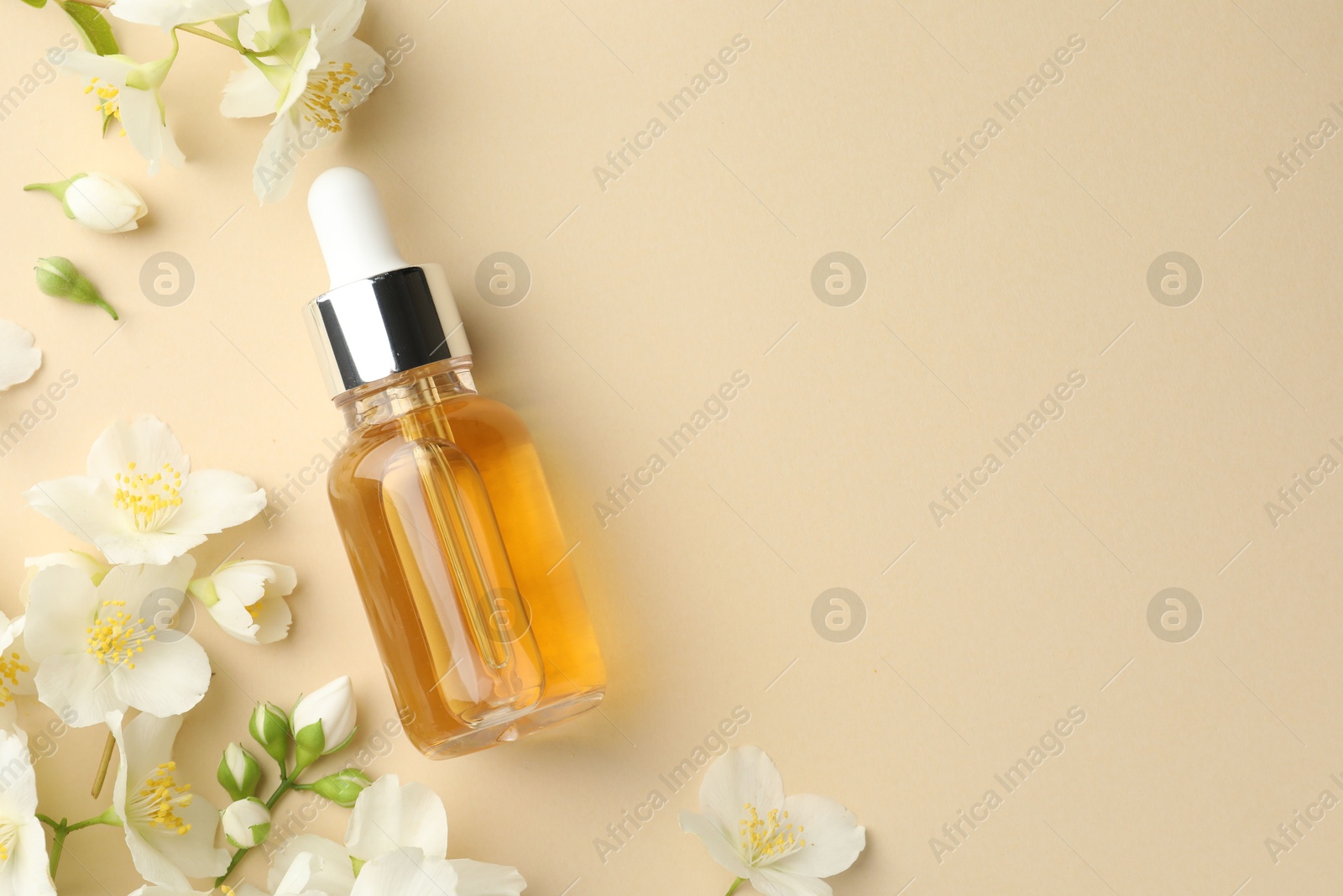 Essential oil and beautiful jasmine flowers on beige background, flat lay. Space for text Photo of Essential oil and beautiful jasmine flowers on beige background, flat lay. Space for text