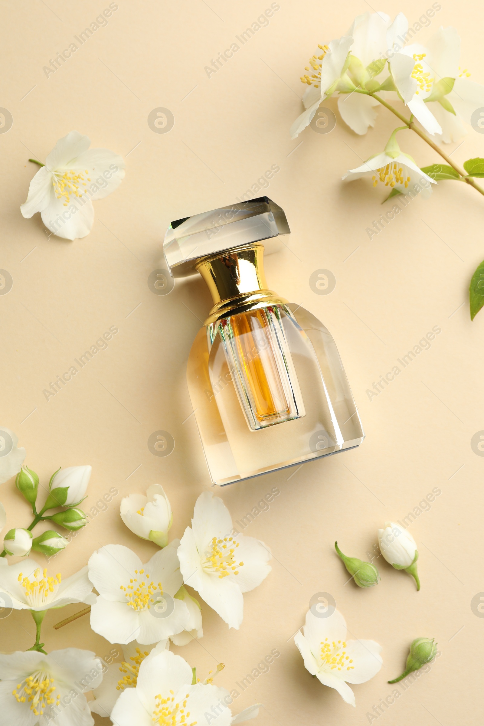 Bottle of perfume and beautiful jasmine flowers on beige background, flat lay Photo of Bottle of perfume and beautiful jasmine flowers on beige background, flat lay