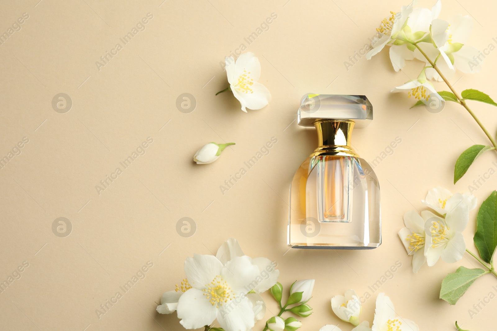 Bottle of perfume and beautiful jasmine flowers on beige background, flat lay. Space for text Photo of Bottle of perfume and beautiful jasmine flowers on beige background, flat lay. Space for text