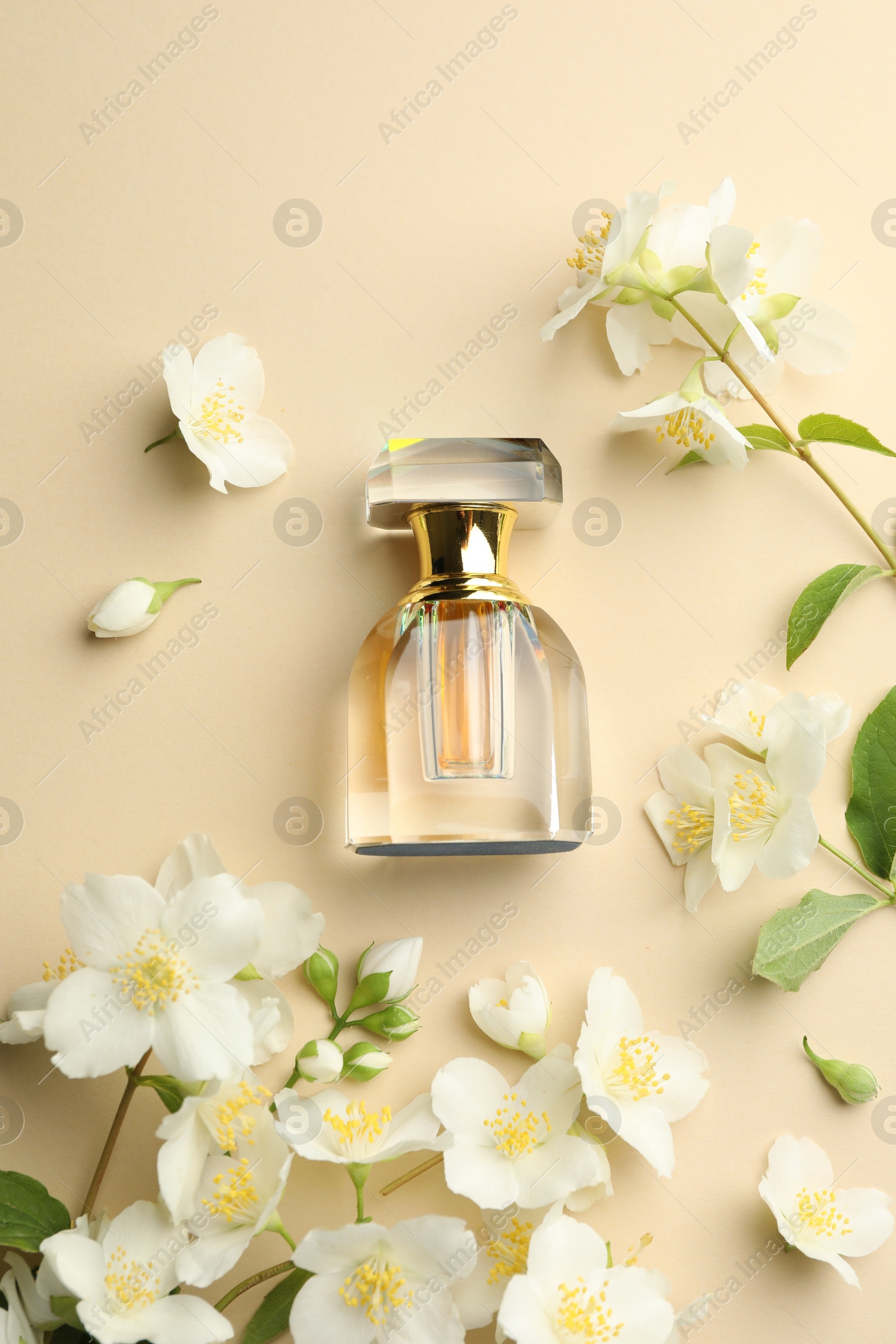 Bottle of perfume and beautiful jasmine flowers on beige background, flat lay Photo of Bottle of perfume and beautiful jasmine flowers on beige background, flat lay