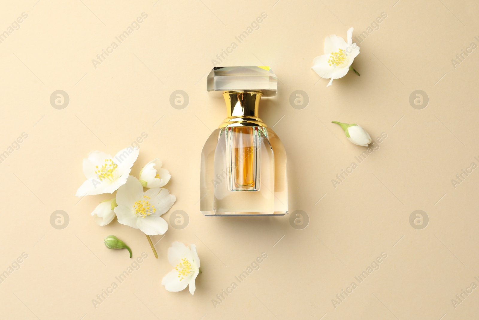 Bottle of perfume and beautiful jasmine flowers on beige background, flat lay Photo of Bottle of perfume and beautiful jasmine flowers on beige background, flat lay