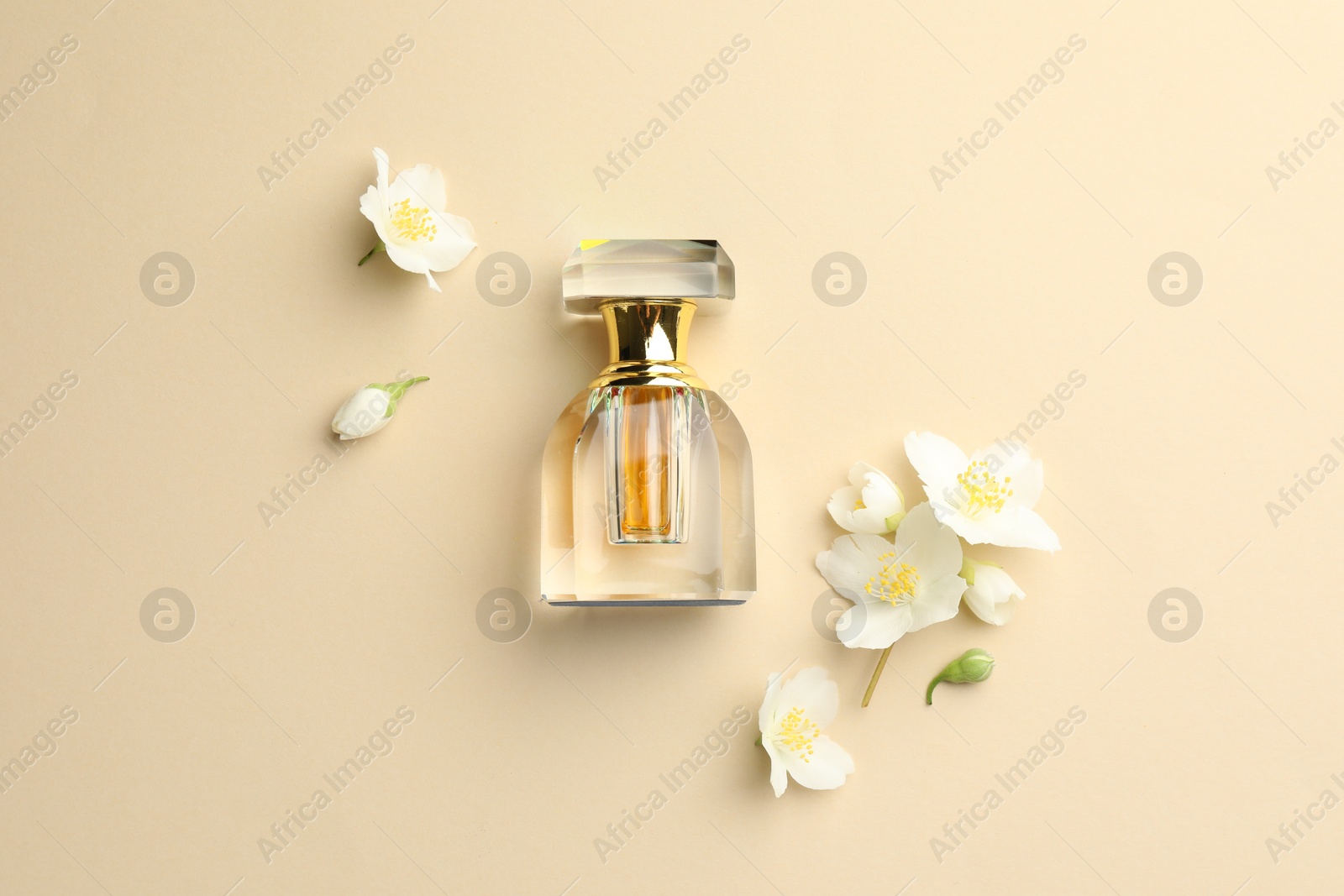 Bottle of perfume and beautiful jasmine flowers on beige background, flat lay Photo of Bottle of perfume and beautiful jasmine flowers on beige background, flat lay