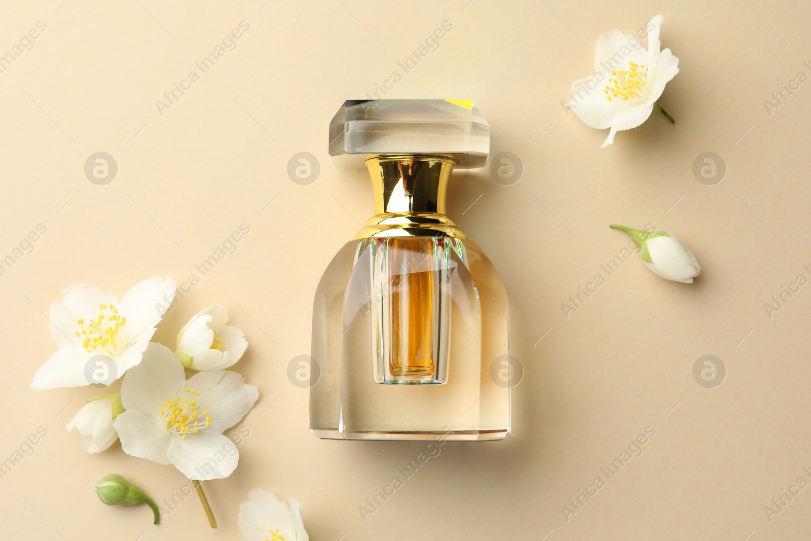 Photo of Bottle of perfume and beautiful jasmine flowers on beige background, flat lay
